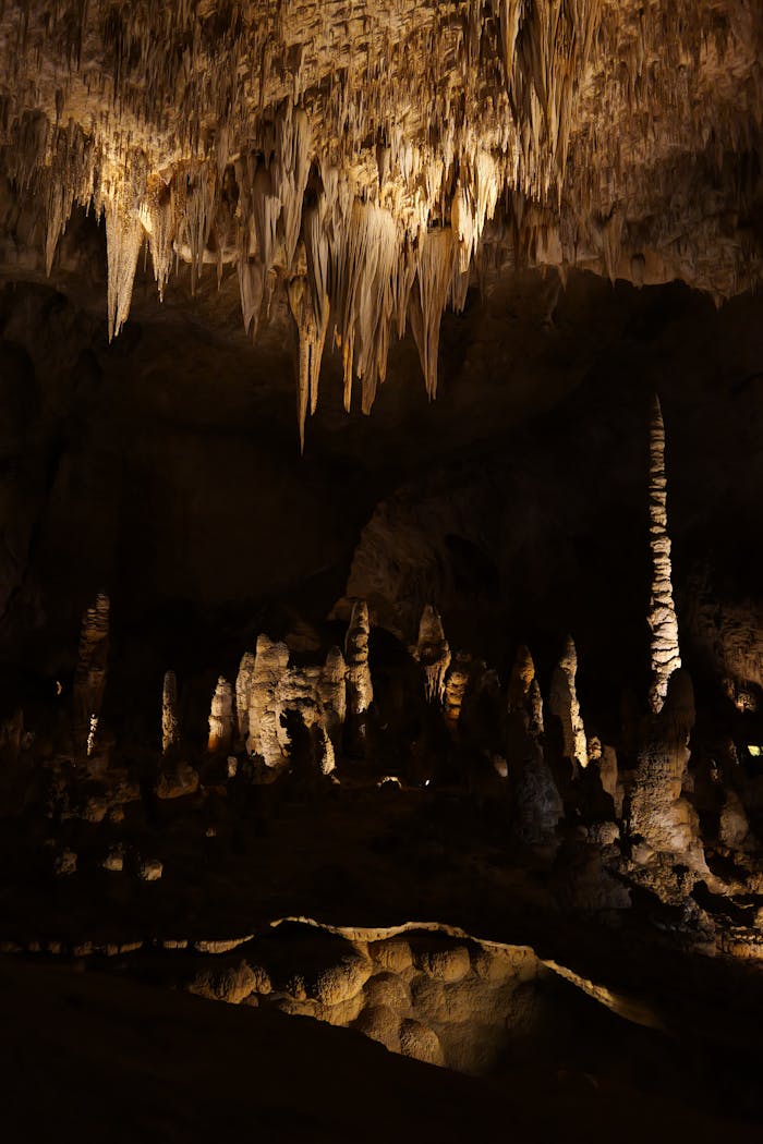 Explore the stunning stalactites and stalagmites of Carlsbad Caverns, a UNESCO World Heritage Site.